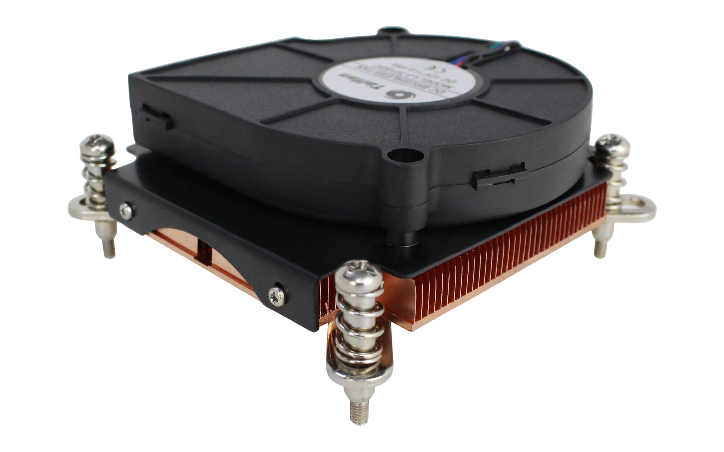 臺風(fēng) 1156 主動